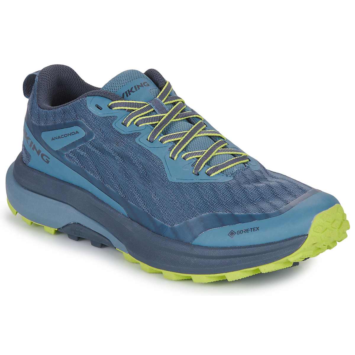 鞋子 男士 跑鞋 VICKING FOOTWEAR Anaconda Trail Low GTX M 蓝色