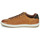 鞋子 男士 球鞋基本款 Pantofola d'oro TERMI UOMO LOW 棕色