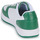 鞋子 男士 球鞋基本款 艾力士 PANARO CUPSOLE 白色 / 绿色