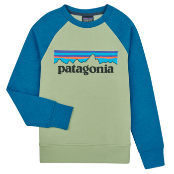 衣服 儿童 卫衣 Patagonia 巴塔哥尼亚 K's LW Crew Sweatshirt 多彩
