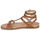 鞋子 女士 凉鞋 Les Tropéziennes par M Belarbi COOLALY 棕色