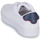 鞋子 女士 球鞋基本款 Tommy Hilfiger ELEVATED ESSENTIAL COURT SNEAKER 白色
