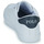 鞋子 儿童 球鞋基本款 Polo Ralph Lauren THERON V 白色 / 海蓝色
