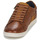 鞋子 男士 球鞋基本款 Redskins DISTRAIT 棕色 / 海蓝色