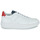 鞋子 男士 球鞋基本款 PIOLA CAYMA 白色 / 红色 / 蓝色