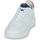 鞋子 男士 球鞋基本款 PIOLA CAYMA 白色 / 红色 / 蓝色