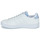 鞋子 女士 球鞋基本款 Adidas Sportswear ADVANTAGE 白色 / Python