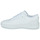鞋子 球鞋基本款 Adidas Sportswear COURT REVIVAL 白色