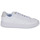 鞋子 女士 球鞋基本款 Adidas Sportswear NOVA COURT 白色 / 米色