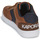 鞋子 男士 球鞋基本款 Kaporal DRAGLOW 棕色