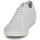 鞋子 女士 球鞋基本款 Saola CANNON KNIT II 白色