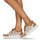 鞋子 女士 球鞋基本款 Stonefly 斯通富莱 SPOCK 36 棕色 / 灰色