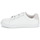 鞋子 女士 球鞋基本款 Bons baisers de Paname EDITH AMOUR BLANC NOIR 白色