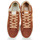 鞋子 男士 球鞋基本款 Caval SLASH BROWN COFFEE 棕色 / 米色