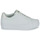 鞋子 女士 球鞋基本款 Calvin Klein Jeans BOLD VULC FLATF LACEUP LTH WN 白色