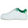 鞋子 男士 球鞋基本款 Puma 彪马 PUMA Backcourt 白色 / 绿色