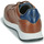 鞋子 男士 球鞋基本款 Martinelli Brooklyne 棕色 / 蓝色