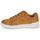 鞋子 男孩 球鞋基本款 Polo Ralph Lauren HERITAGE COURT II 棕色