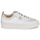 鞋子 女士 球鞋基本款 Armistice LOVA SNEAKER 白色 / 米色 / 金色