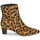 鞋子 女士 短靴 Lauren Ralph Lauren WILLA-BOOTS-BOOTIE 棕色