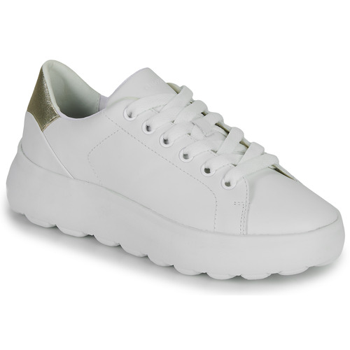 鞋子 女士 球鞋基本款 Geox 健乐士 D SPHERICA EC4.1 SNEAKERS 白色 / 银灰色