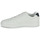 鞋子 男士 球鞋基本款 Levi's 李维斯 LIAM 白色