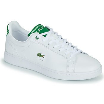 鞋子 男士 球鞋基本款 Lacoste CARNABY 白色 / 绿色