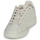 鞋子 球鞋基本款 Adidas Sportswear ADVANTAGE PREMIUM 米色 / 灰褐色