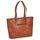 包 女士 购物袋 David Jones CM6826-BROWN 棕色