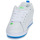 鞋子 男士 球鞋基本款 DC Shoes COURT GRAFFIK 白色 / 蓝色