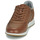 鞋子 男士 球鞋基本款 Geox 健乐士 AVERY 棕色