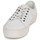 鞋子 男士 球鞋基本款 Globe SURPLUS 白色