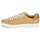鞋子 男士 球鞋基本款 Fred Perry B4334 Spencer Leather 棕色