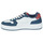 鞋子 男士 球鞋基本款 Levi's 李维斯 GLIDE 白色 / 海蓝色 / 波尔多红