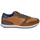 鞋子 男士 球鞋基本款 LLOYD EDMOND 棕色 / 海蓝色