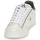 鞋子 男士 球鞋基本款 Le Coq Sportif 乐卡克 LCS COURT CLEAN 白色 / 绿色