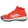 鞋子 篮球 adidas Performance 阿迪达斯运动训练 Bounce Legends 红色