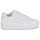 鞋子 球鞋基本款 Adidas Sportswear MIDCITY LOW 白色