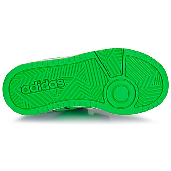 Adidas Sportswear HOOPS 3.0 CF C 蓝色 / 绿色