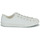 鞋子 女士 球鞋基本款 Converse 匡威 CHUCK TAYLOR ALL STAR DAINTY MONO WHITE 白色