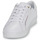 鞋子 女士 球鞋基本款 Tommy Hilfiger TOMMY HILFIGER SIGNATURE SNEAKER 白色