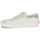 鞋子 球鞋基本款 Vans 范斯 Sport Low TRI-TONE GREEN 白色 / 绿色
