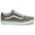 鞋子 球鞋基本款 Vans 范斯 Old Skool COLOR THEORY BUNGEE CORD 灰褐色
