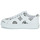 鞋子 女士 球鞋基本款 Guess GIANELE 4 白色 / 黑色