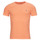 衣服 男士 短袖体恤 Polo Ralph Lauren T-SHIRT AJUSTE EN COTON 橙色