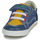鞋子 男孩 球鞋基本款 Pablosky  蓝色 / 黄色