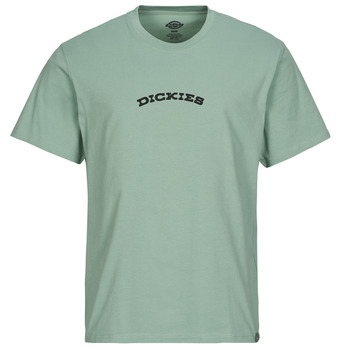 衣服 男士 短袖体恤 Dickies 迪凯思 DICKIES OUTDOOR SS TEE 绿色