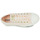 鞋子 女士 球鞋基本款 Converse 匡威 CHUCK TAYLOR ALL STAR LIFT PLATFORM GOLD 玫瑰色