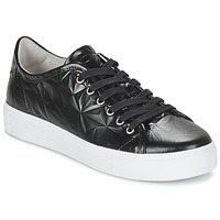 鞋子 女士 球鞋基本款 Blackstone NL34 黑色