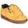 鞋子 男士 板鞋 Globe SABRE 黄色
